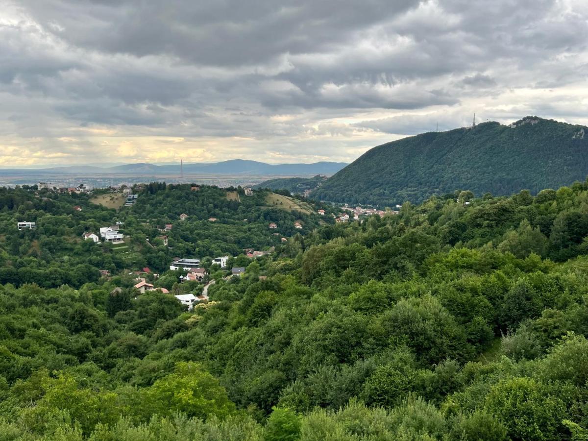 #3 Coroni Seasons * Brasov